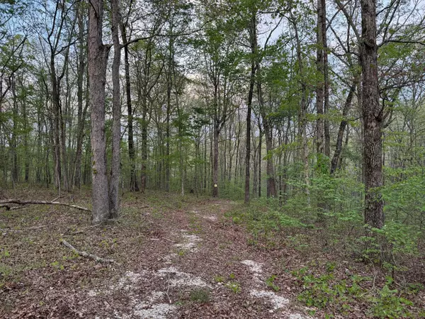 Nunnelly, TN 37137,0 Old Richmond Rd