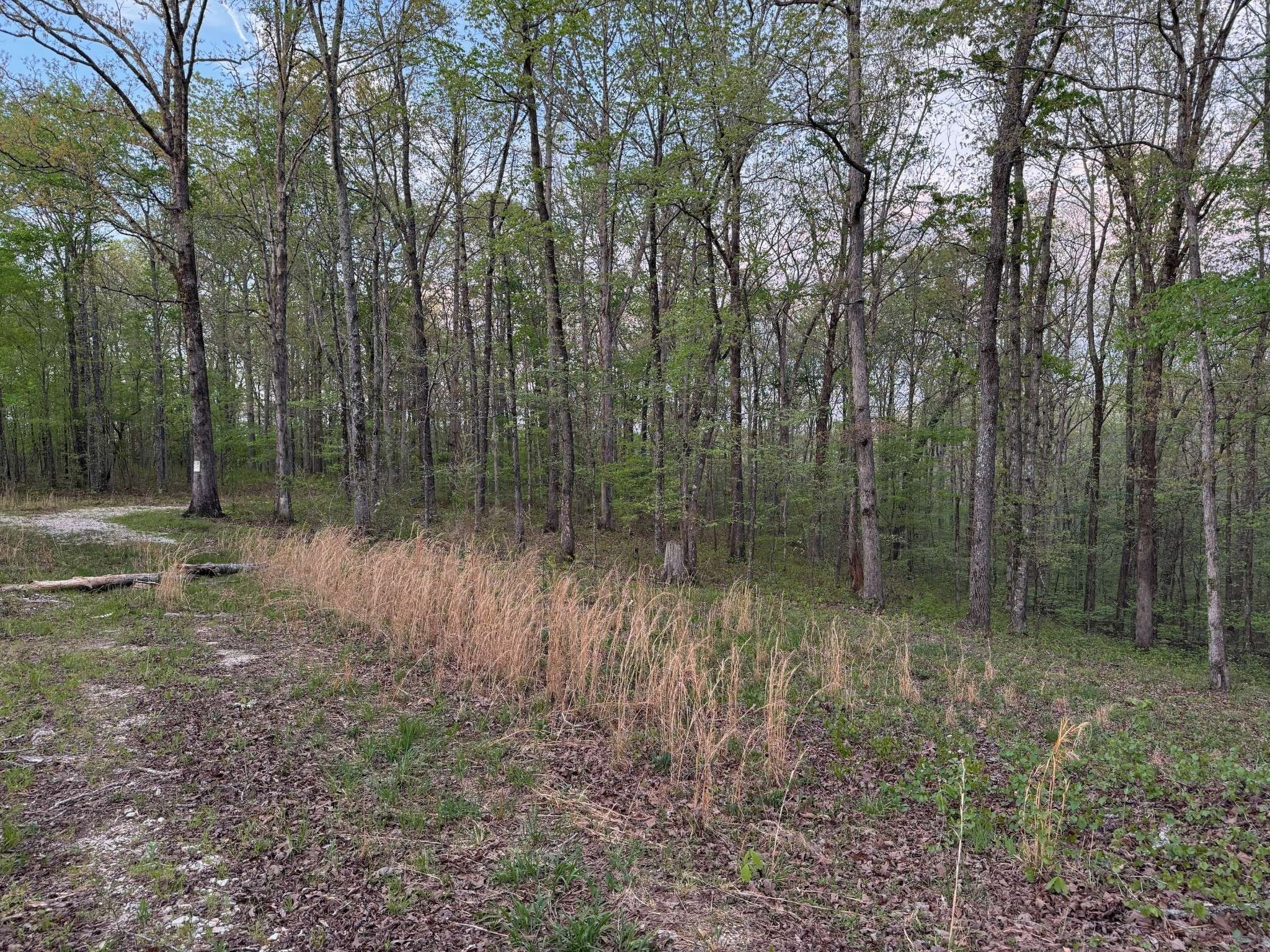 Nunnelly, TN 37137,0 Old Richmond Rd