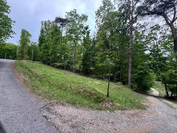 Spring City, TN 37381,0 Maple Drive