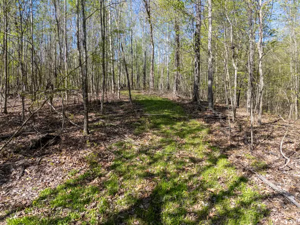 Lexington, TN 38351,0 Guy Hart Rd