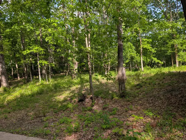 Brentwood, TN 37027,0 Bluff Road