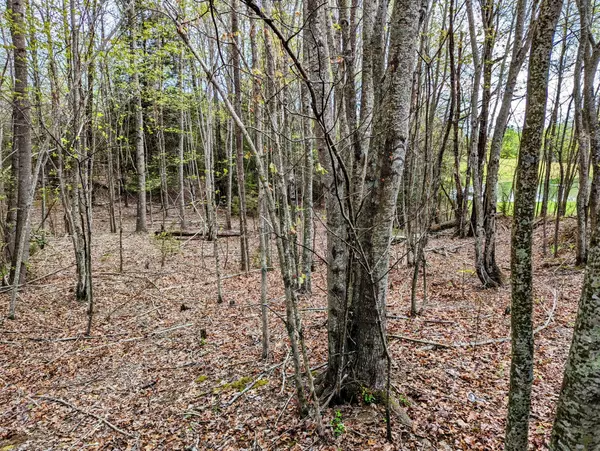 Spencer, TN 38585,0 Surrey Lane