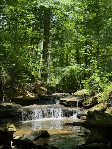 0 Monterey HWY, Monterey, TN 38574