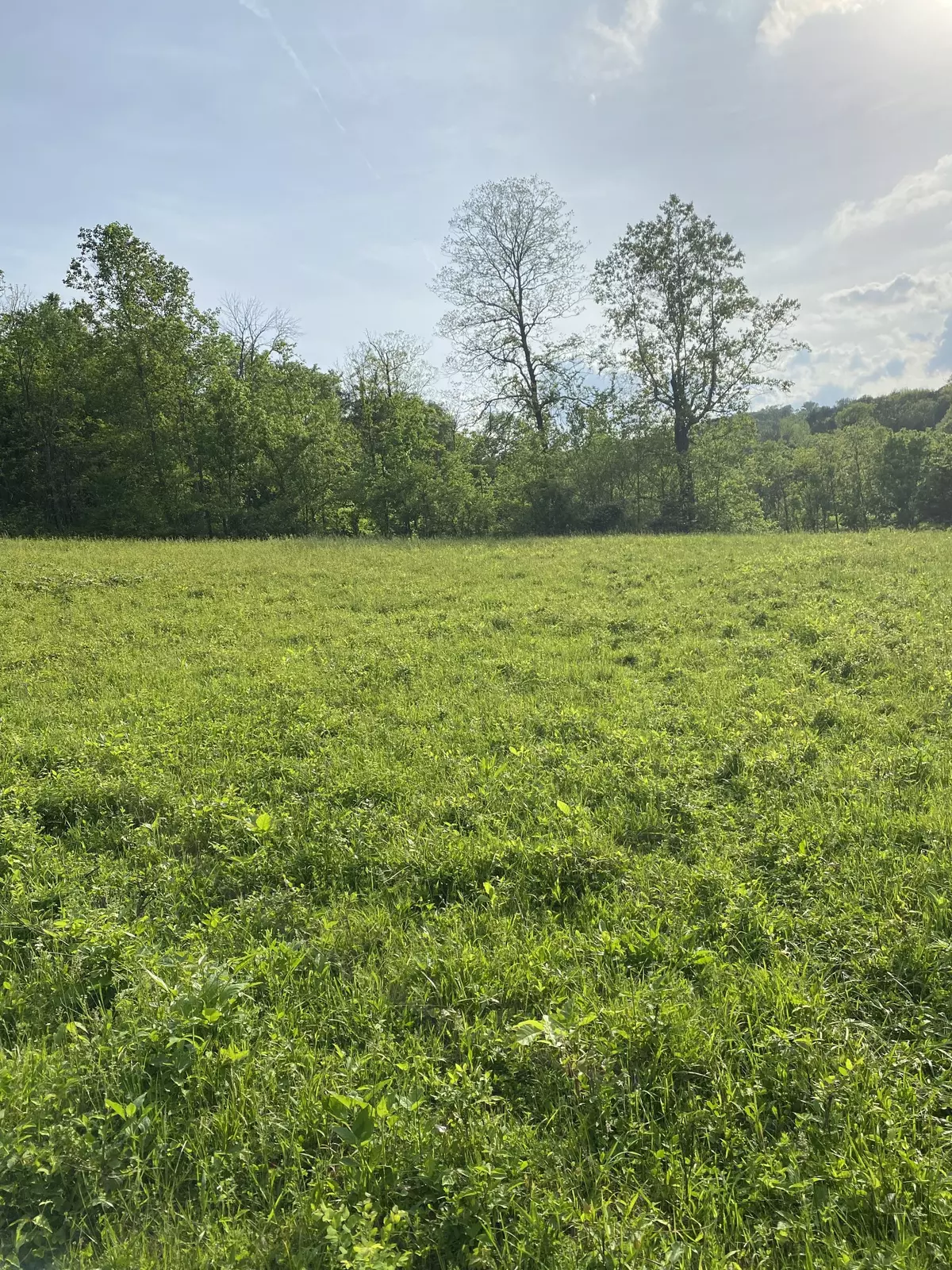 Pulaski, TN 38478,0 Ables Ln