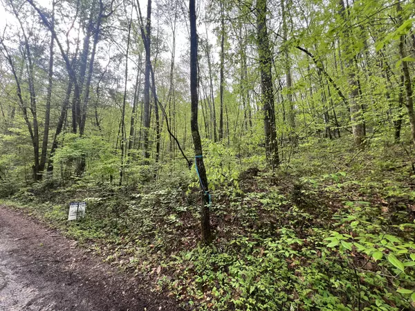Grandview, TN 37337,104 Bear Den Trl