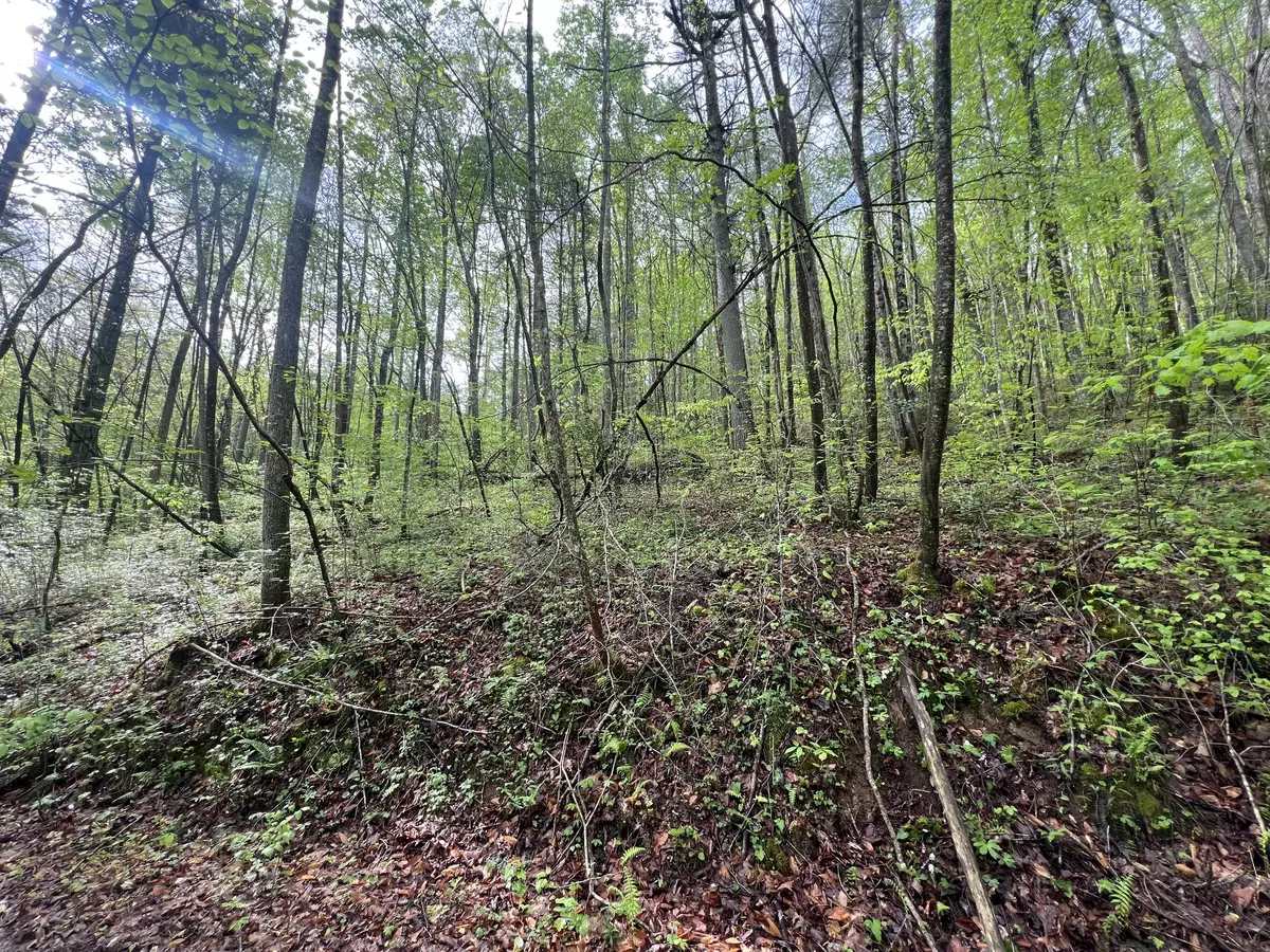 Grandview, TN 37337,112 Bear Den Trl