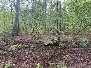 Grandview, TN 37337,139 Bear Den Trl