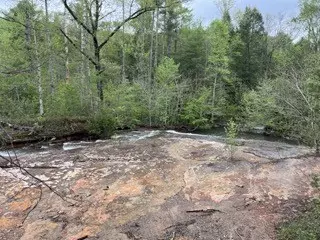 Grandview, TN 37337,139 Bear Den Trl