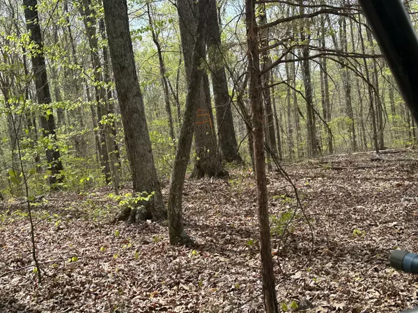 Dickson, TN 37055,2 Cave Branch