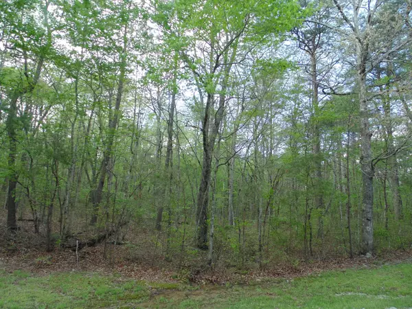 Monteagle, TN 37356,128 Timberwood Tr