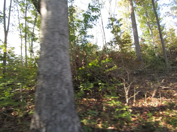 Celina, TN 38551,0 Highway 52 #E