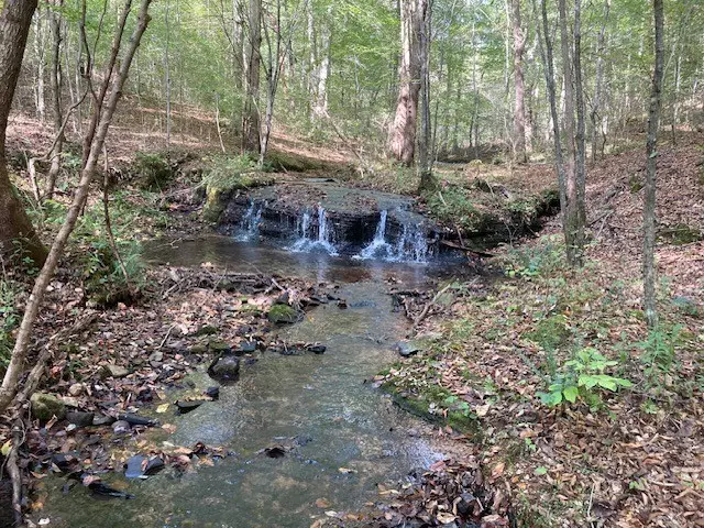 Hohenwald, TN 38462,635 Cane Creek Rd