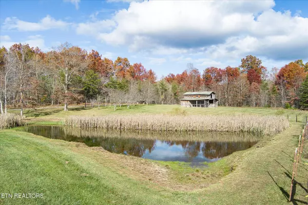 Deer Lodge, TN 37726,193 Renee Drive