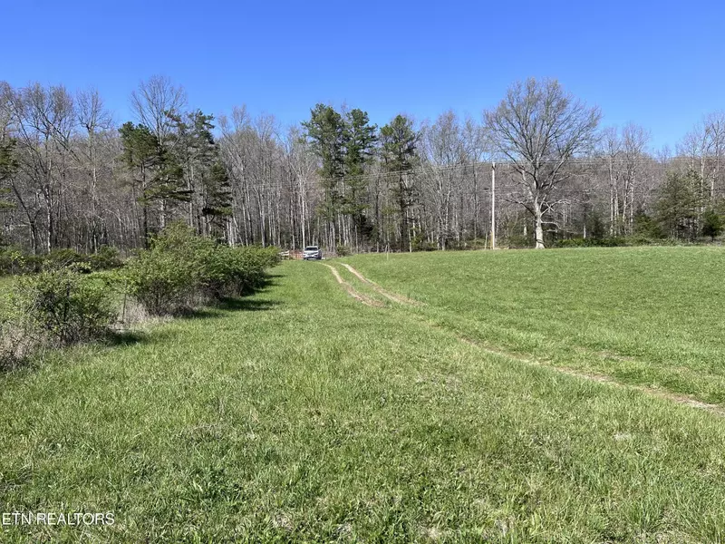 0 Coon Hollow Rd 41.64 acres, Sunbright, TN 37872