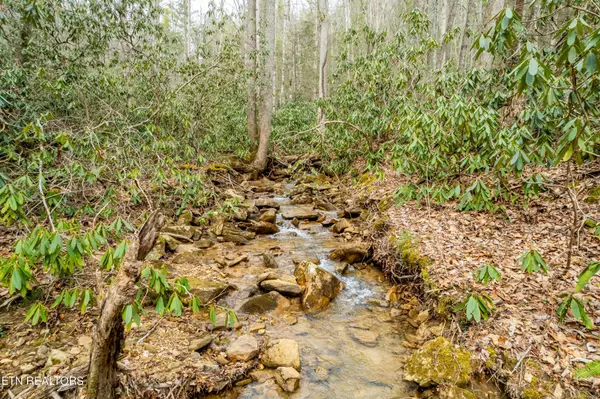 Sevierville, TN 37876,1538 Basswood Court