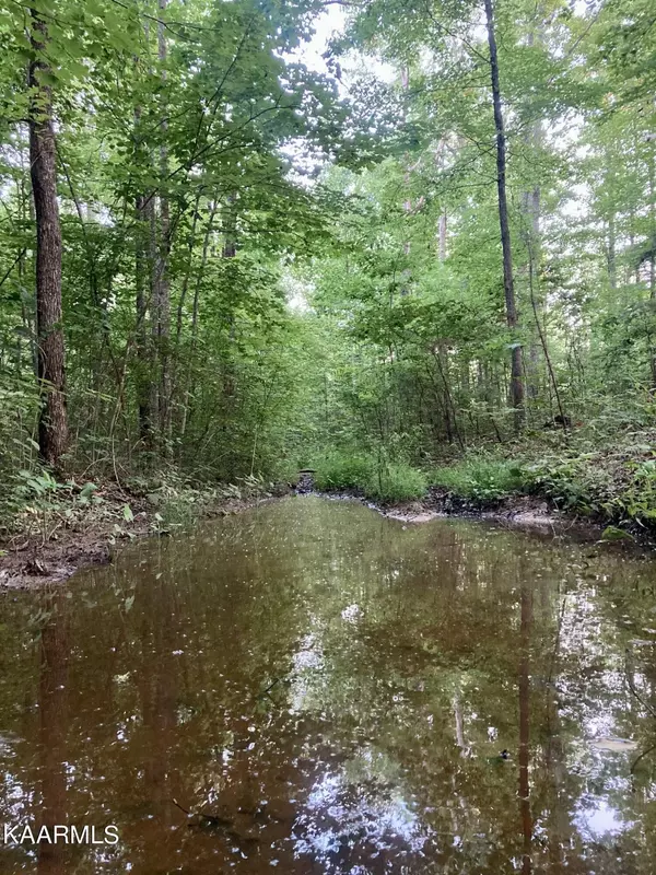 0 Allred Cemetery Rd, Grimsley, TN 38565