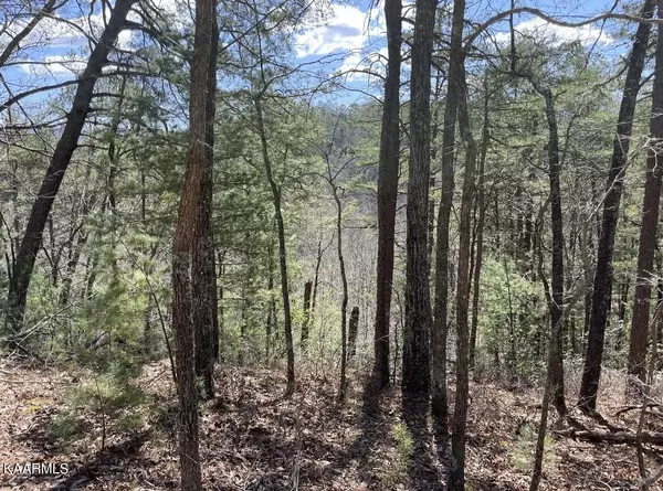 Del Rio, TN 37727,0 S Highway 107