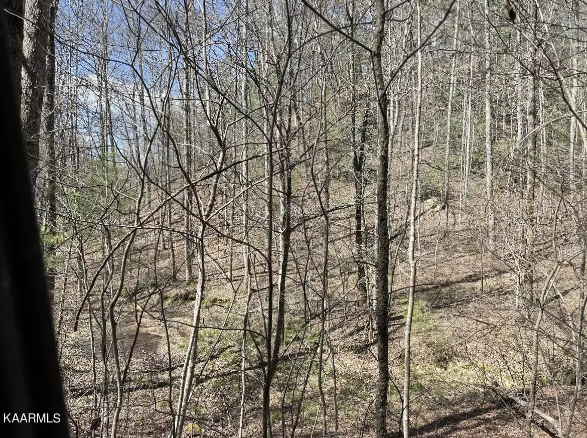 Del Rio, TN 37727,0 S Highway 107