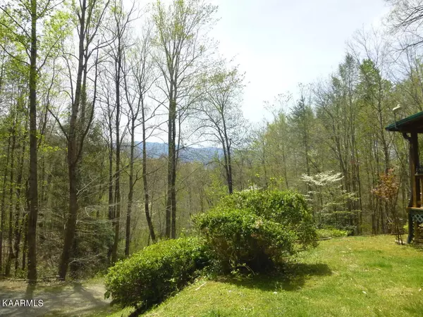 Cosby, TN 37722,3587 Mountain Creek Way