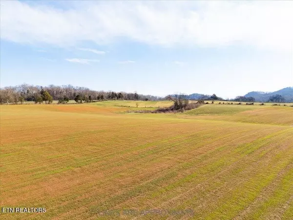 21075 Meadow Rd, Greenback, TN 37742