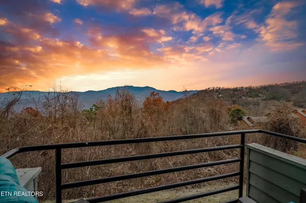 Gatlinburg, TN 37738,1260 Ski View Drive #7108