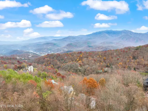 Gatlinburg, TN 37738,1260 Ski View Drive #7108