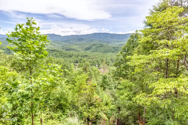 Gatlinburg, TN 37738,429 Deer Path Lane #101