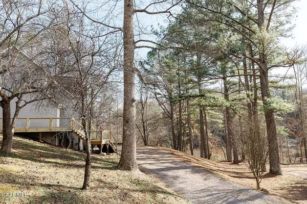 Gatlinburg, TN 37738,1283 Johns Branch Rd