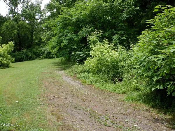 Lenoir City, TN 37771,230 Kerr St