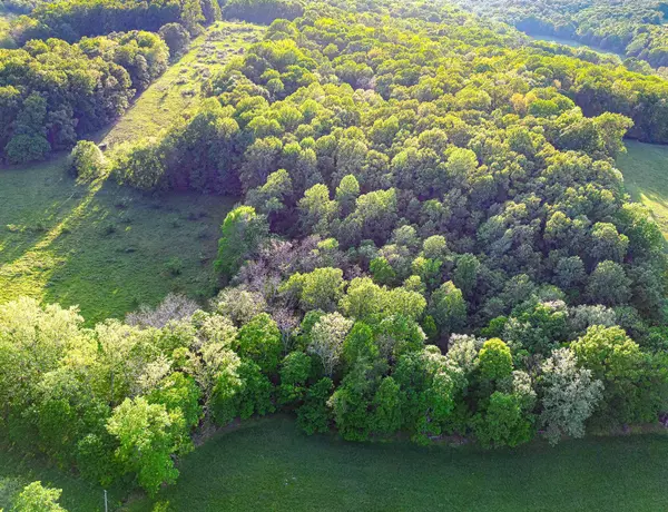Erin, TN 37061,0 Salmon Branch #W