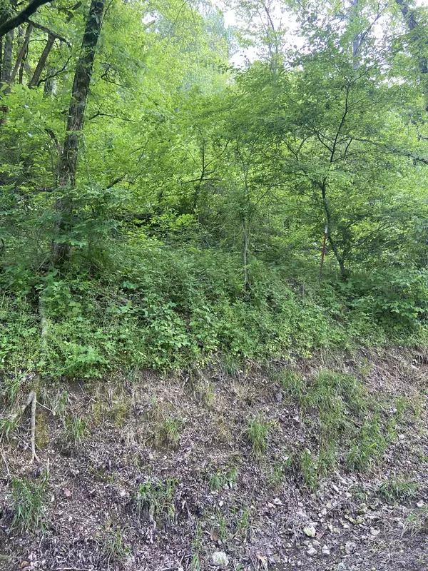 Shelbyville, TN 37160,0 Possum Trott Rd