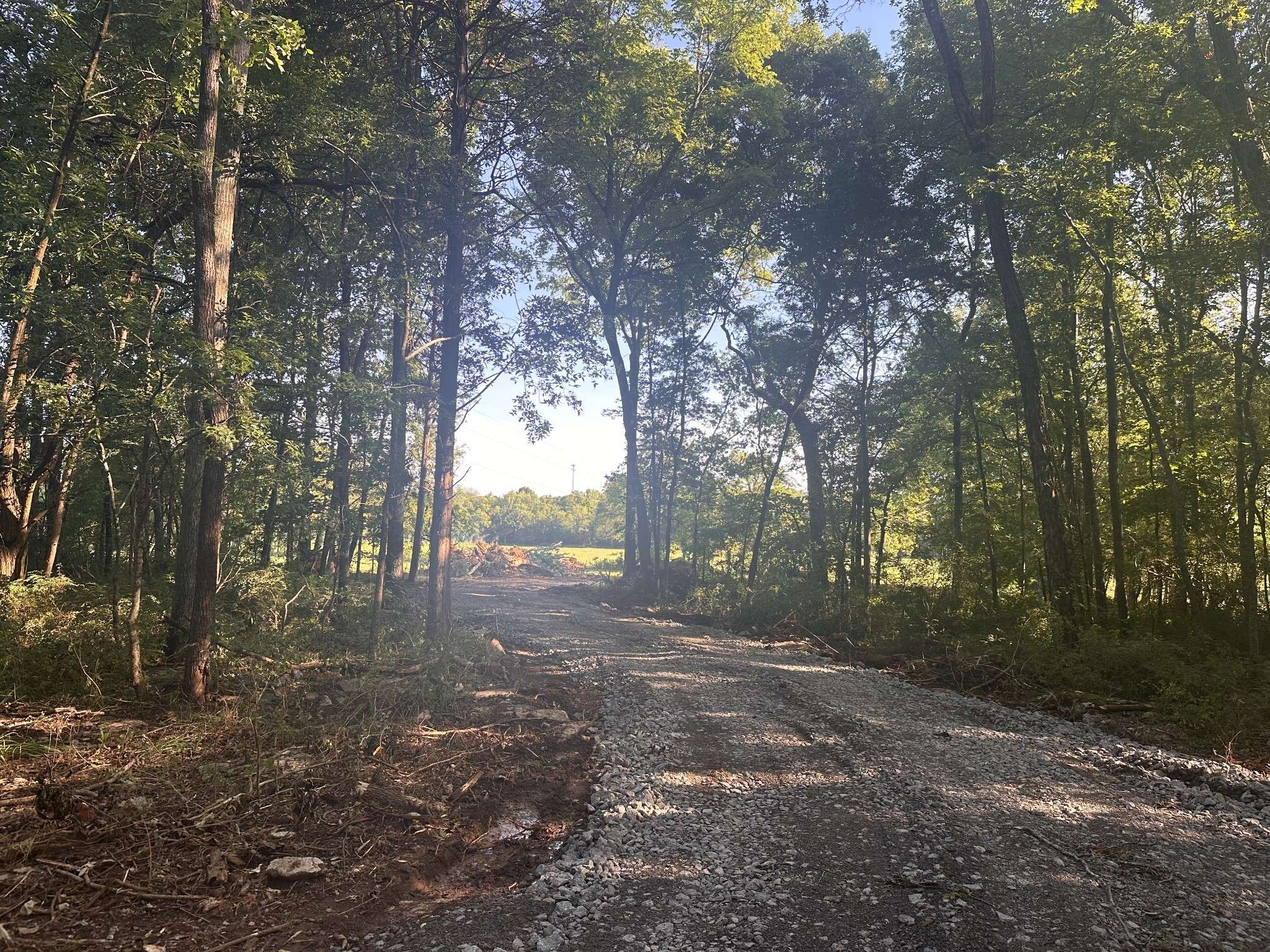 Lebanon, TN 37087,0 Rutledge Lane Tract 13