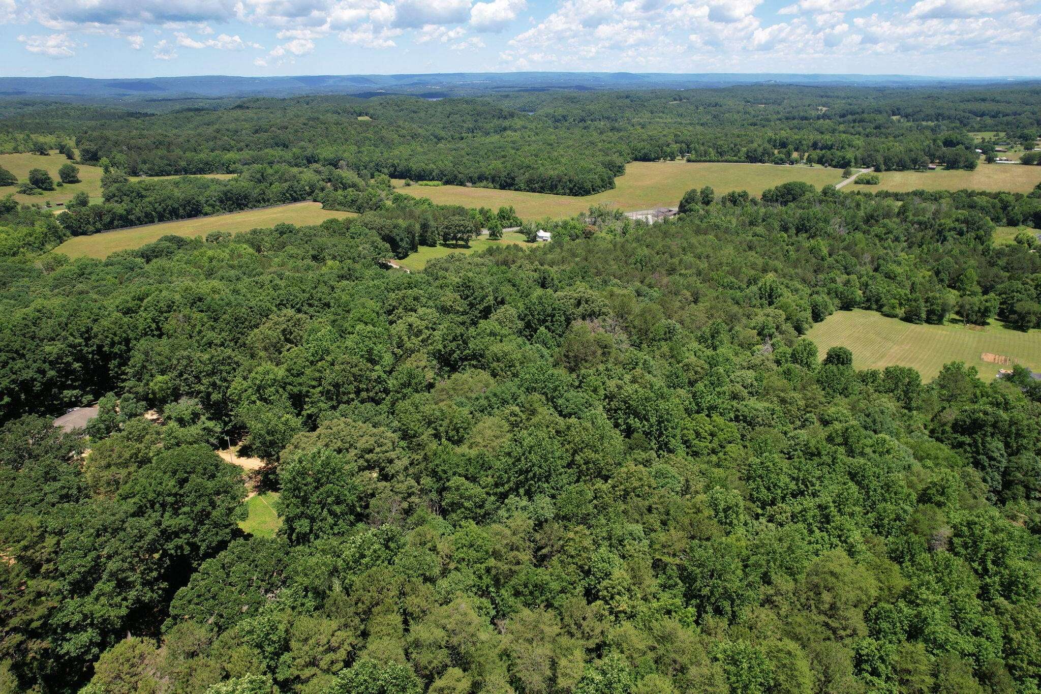 Birchwood, TN 37308,13356 Ellison