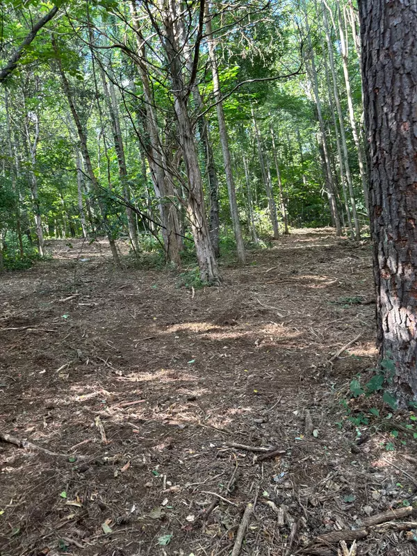 Watertown, TN 37184,2517 Patton Hollow Rd