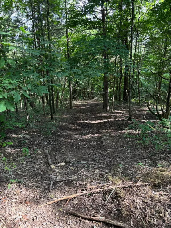 Watertown, TN 37184,2517 Patton Hollow Rd