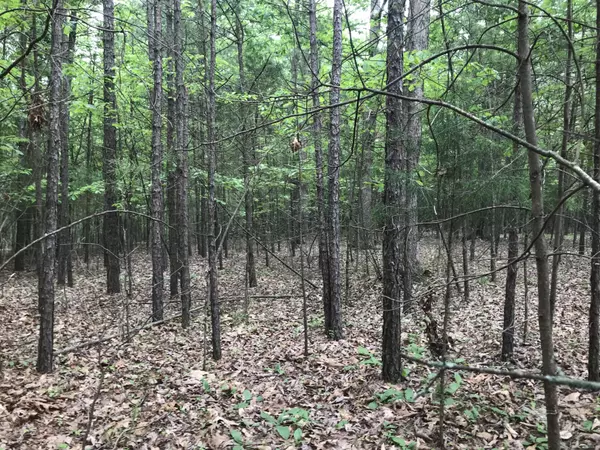 Dunlap, TN 37327,0 Bluffview Drive