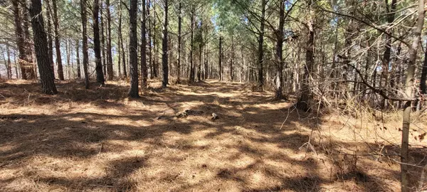Dover, TN 37058,1 Saddleback Dr