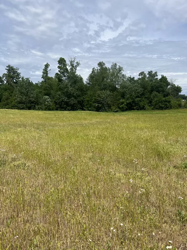 Morrison, TN 37357,0 Jacksboro Trail