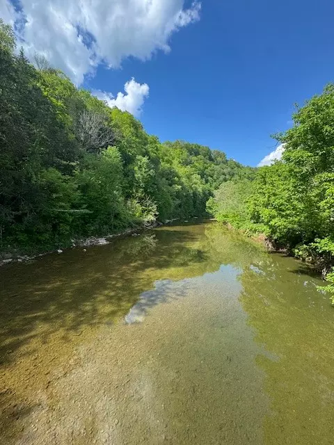 Gainesboro, TN 38562,0 Blackburn Fork Rd