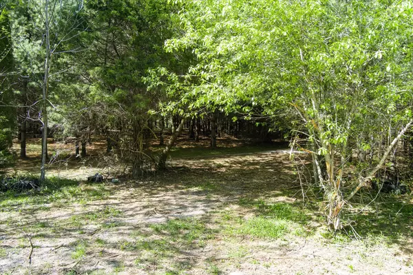 Sparta, TN 38583,181 Uncle Happy Ln