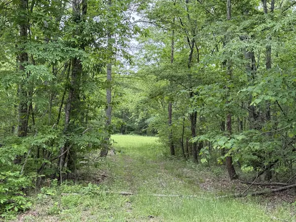 Waynesboro, TN 38485,0 Leonard Jackson Rd
