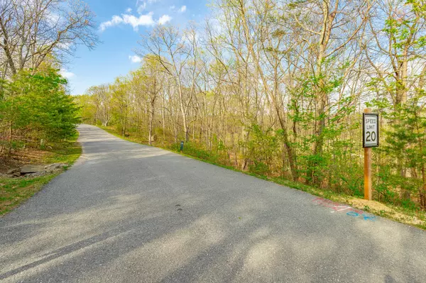 Rising Fawn, GA 30738,0 Old Rocky Trail