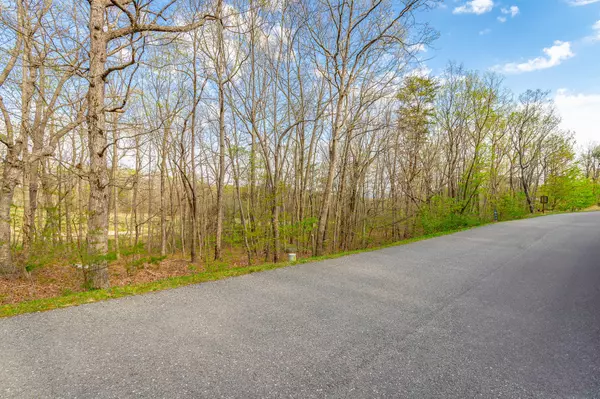 0 Old Rocky Trail, Rising Fawn, GA 30738