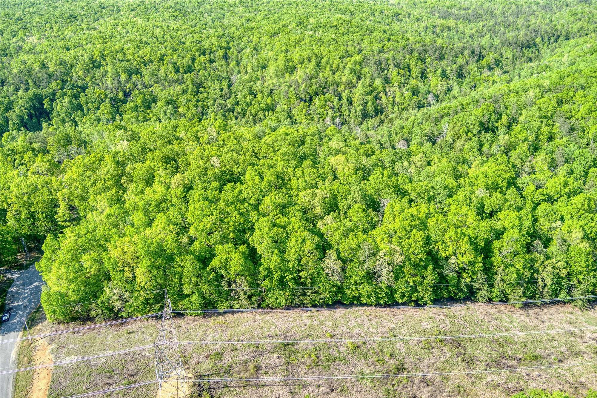 Monterey, TN 38574,0 Ross Place