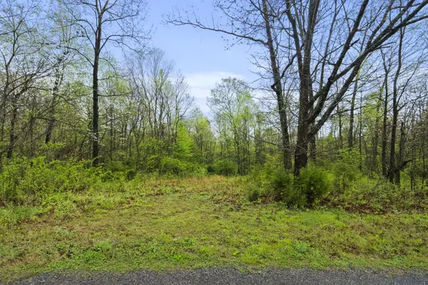 Adams, TN 37010,2 J Bourne Road