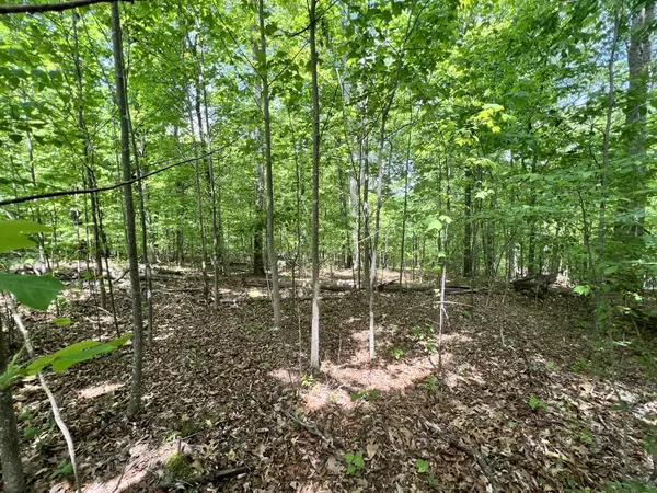 0 Sarvis Ridge Road, Normandy, TN 37360