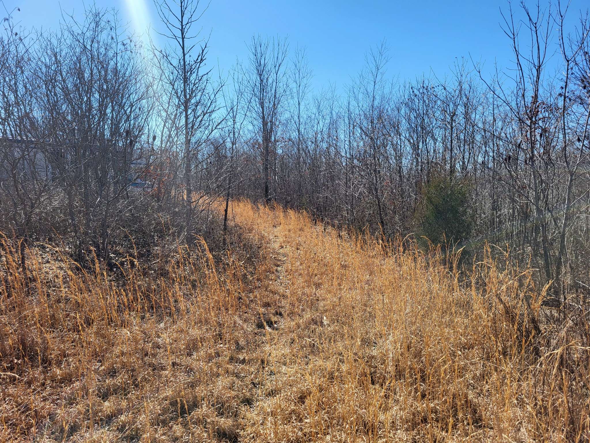 Erin, TN 37061,1515 Keel Hollow Rd