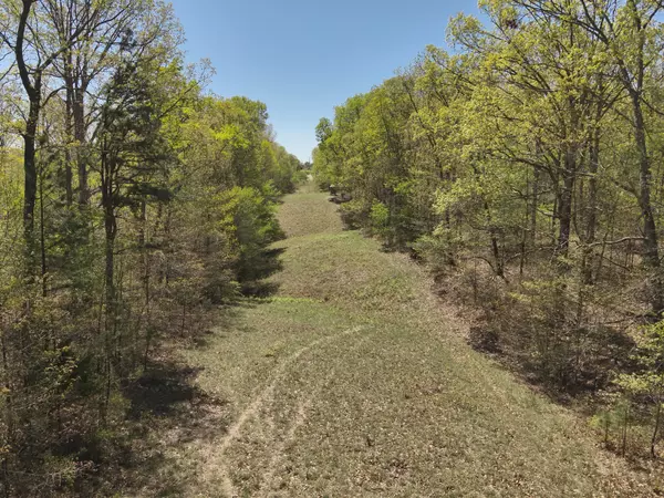 Hohenwald, TN 38462,417 N Park St