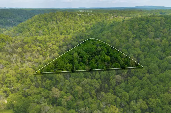 Hilham, TN 38568,0 Red Bud Ln TN