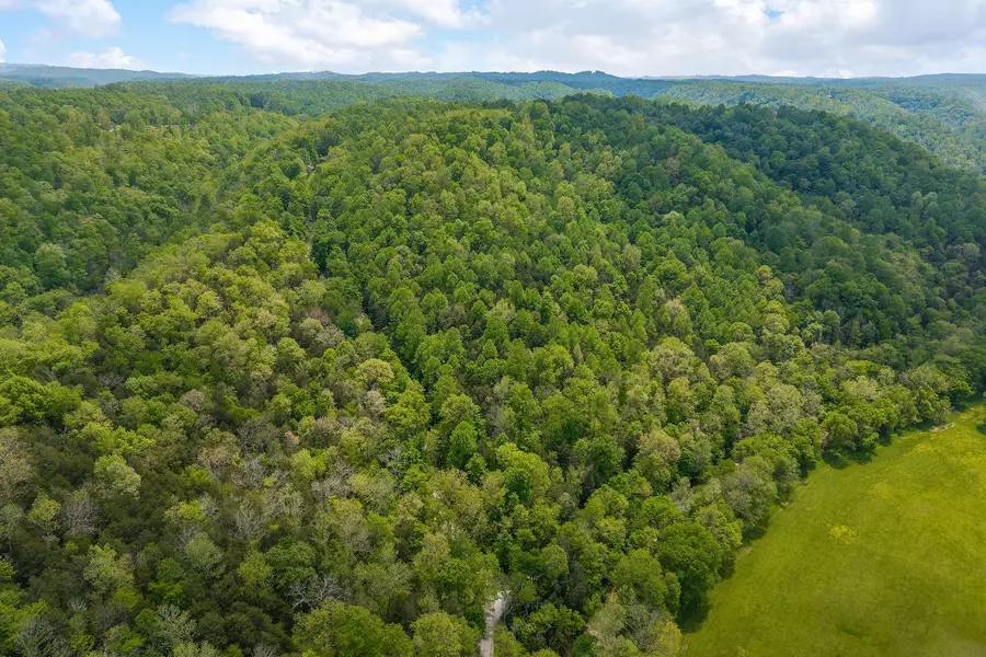 0 Red Bud Ln TN, Hilham, TN 38568